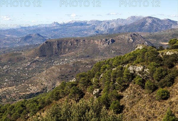 View west from Area Recreativa El Alcazar, Sierra Tejeda natural park, Alcaucin, Axarquia, Andalusia, Spain, Europe