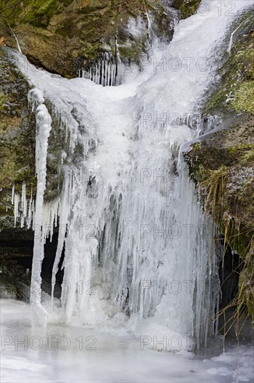 With a free fall height of approx. 9 metres, it is the highest natural waterfall in Saxon Switzerland. In winter, when it freezes, it transforms into a bizarre ice formation, Langhennersdorf, Saxony, Germany, Europe