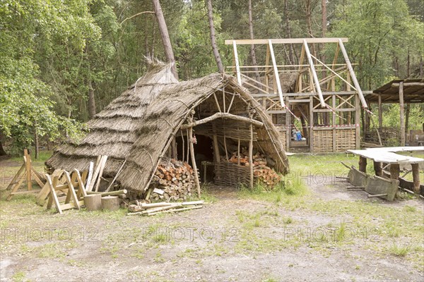 Hands on Heritage, site of reconstructed archaeological historic buildings, Tunstall forest, Suffolk, England, UK, Iron Age hut house