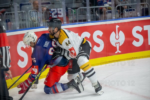 Game scene Adler Mannheim against Rouen Dragons (Champions Hockey League)