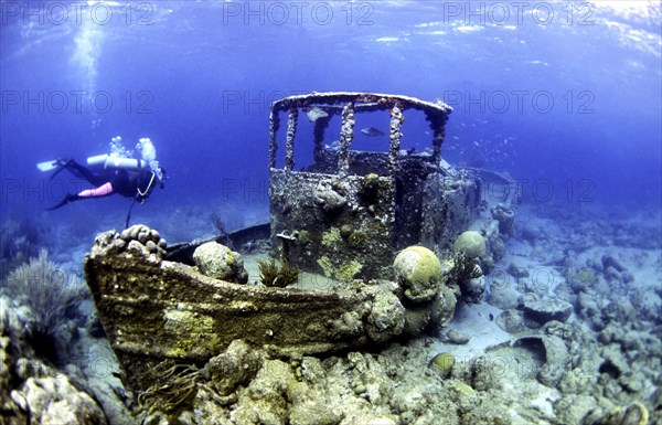 Diving in the Caribbean, Wreck, Caribbean, Central America