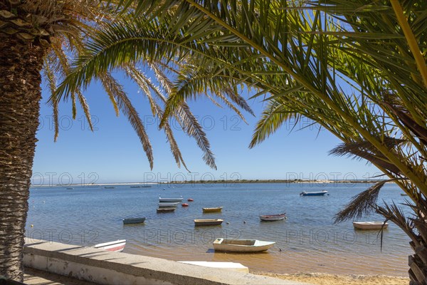 Boats in lagoon behind offshore sandbar, framed by palm trees, Vila Nova de Cacela, Algarve, Portugal, Southern Europe, Ria Formosa Natural Park, Europe