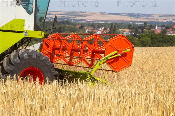 Grain harvest in the district of Bad Duerkheim (Rhineland-Palatinate)