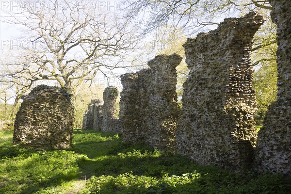 Flint and mortar walls of the ruins of The Minster, South Elmham, Suffolk, England, UK