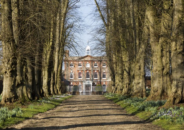 Avenue driveway lime trees leading to Oare House built 1740, Oare, Wilcot, Wiltshire, England, UK