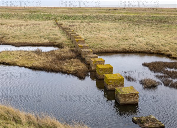 Stepping stones formed by second world war defences near Shingle Street, North Sea coast, Suffolk, England, UK
