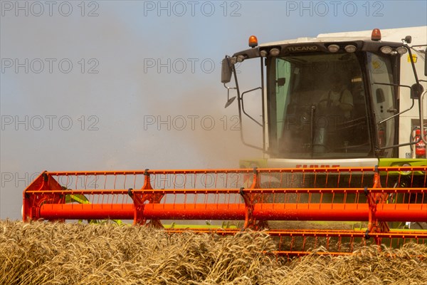 Grain harvest near Hockenheim, Baden-Wuerttemberg