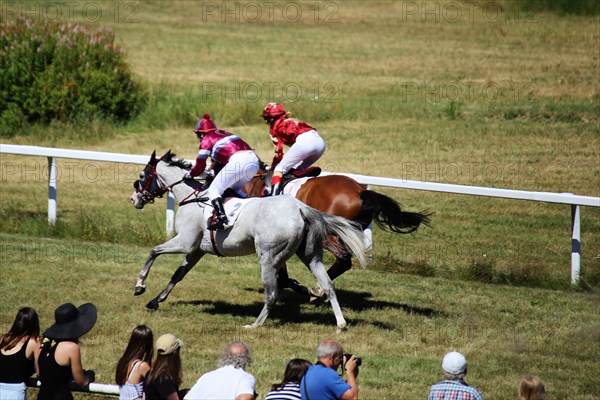 Horse racing at the Hassloch racecourse, Palatinate