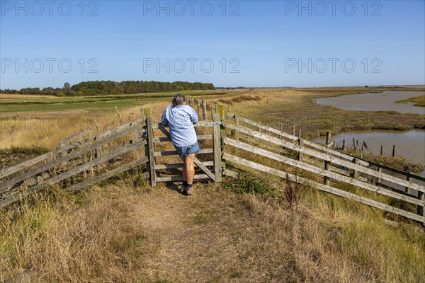 Woman resting at gate on coastal footpath between River Ore and Hollesley Marshes, Suffolk, England, UK