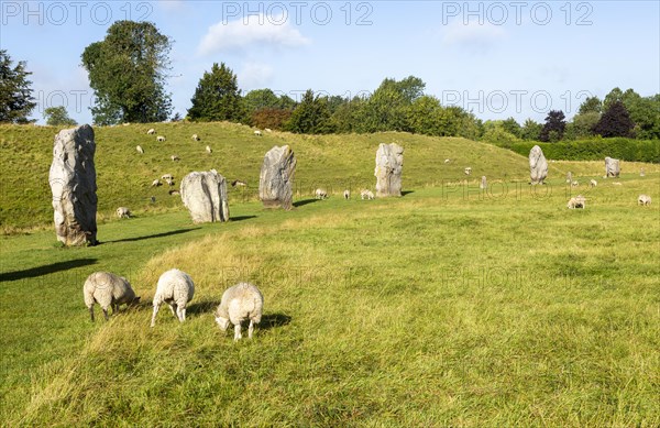 Standing stones in south west quadrant neolithic stone circle henge prehistoric monument, Avebury, Wiltshire, England UK
