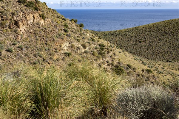 Arid landscape between Las Negras and Cala de San Pedro, Cabo de Gata Natural Park, Almeria, Spain, Europe