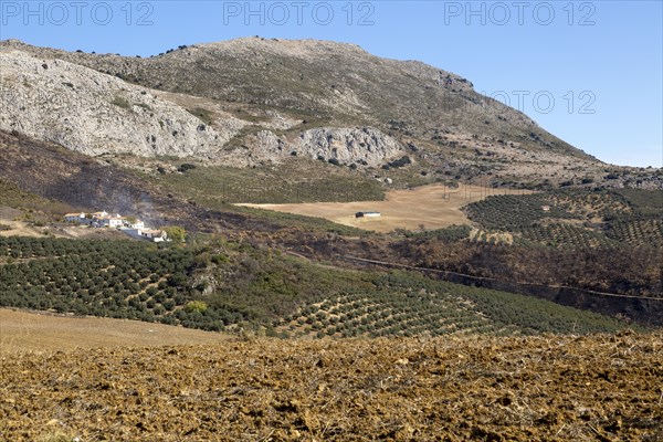 Small hamlet of Carrion, near Periana, Axarquia, Andalusia, Spain at base of limestone mountains