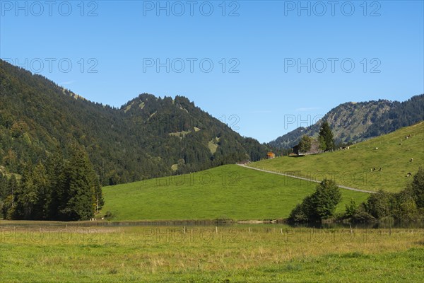 Alpine farm at Lecknersee, Buckelwiese, municipality of Dornbirn, Bregenzerwald, Voralberg, Austria, Europe
