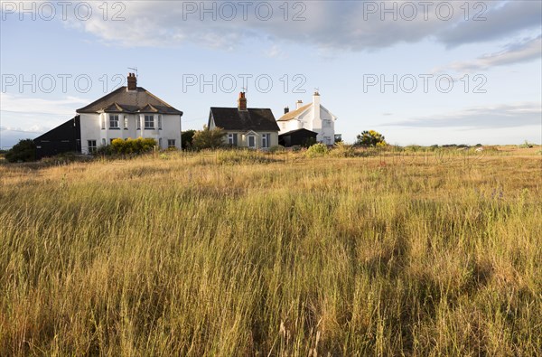 Houses next to the beach summer wildflowers and grasses on the SSSI at Shingle Street, Hollesley, Suffolk, England, UK