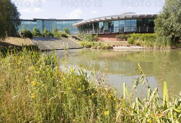 Lake water feature landscaped grounds of Reading International Business Park, Reading, Berkshire, England, UK