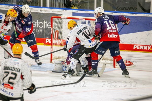 Game scene Adler Mannheim against Fischtown Pinguins Bremerhaven (PENNY DEL, German Ice Hockey League)