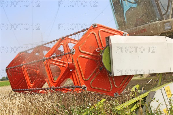 Agriculture grain harvest (Rhineland-Palatinate, July 2020)