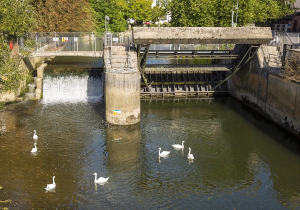 Flood defences to regulate water flow River Avon, Chippenham, Wiltshire, England, UK