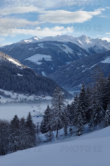 Moelltal near Winklern, Carinthia, Austria, Europe