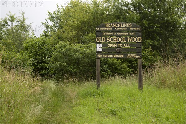 Branchlines community woodland, Old School Wood, Great Waldingfield, Suffolk, England, UK