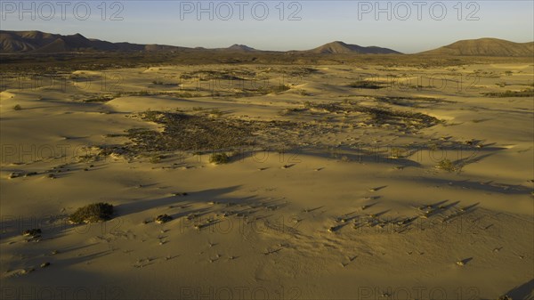 Sand dunes near Corralejo, shifting sand dunes, Fuerteventura, Canary Islands, Spain, Europe