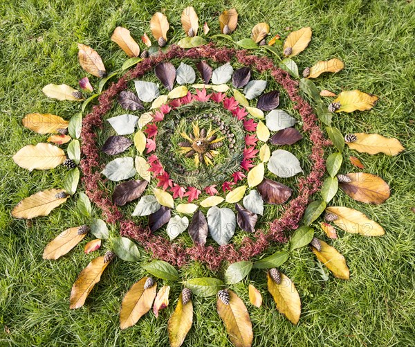 Pattern rings autumn leaves on grass, National arboretum, Westonbirt arboretum, Gloucestershire, England, UK