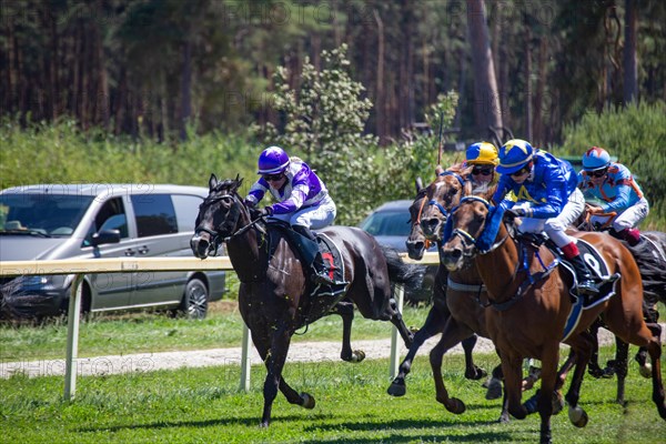 Race day at the racecourse in Hassloch, Palatinate. Prize of St. Hippolyt/Muehle Ebert & Gestuet Fohlenhof Hassloch (Category F, 2,200 metres)