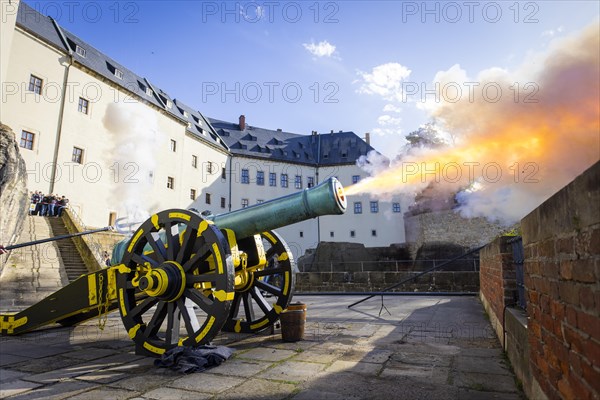 Koenigstein Fortress in Saxon Switzerland. A cannon belonging to the Koenigstein Fortress, built in 1712, was christened DIE STARKE AUGUSTE and fired. By the Electoral Saxon Gunners 1730 of the Rifle Society Friedersdorf., Koenigstein, Saxony, Germany, Europe