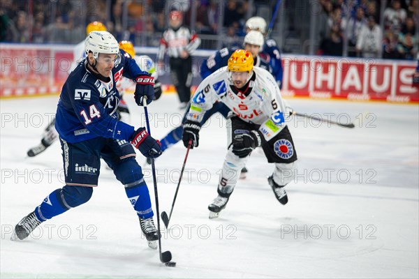 Game scene Adler Mannheim against Fischtown Pinguins Bremerhaven (PENNY DEL, German Ice Hockey League)