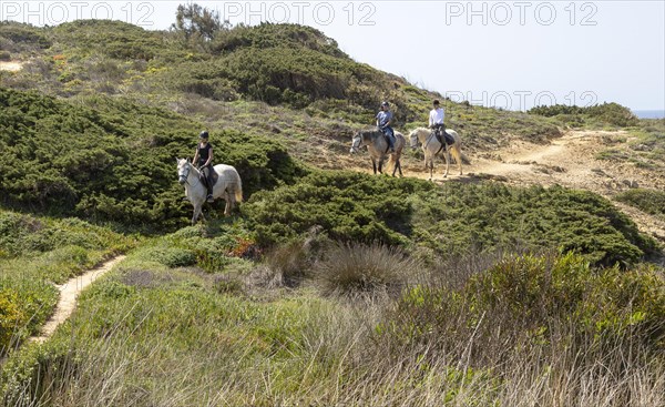 Three people pony trekking on coastal path, the Fisherman's Trail of Ruta Vicentina, Odeceixe, Algarve, Portugal, Southern Europe, Europe