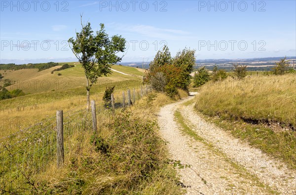 Track along top of chalk scarp escarpment slope of Inkpen Hill, at Walbury Camp, Berkshire, England, UK