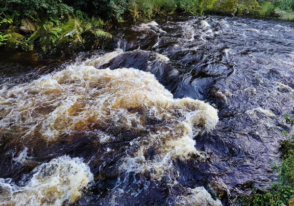 Rapids in the River Rur, Monschau, Eifel, Aachen city region, North Rhine-Westphalia, Germany, Europe