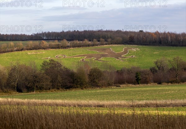 The Old Bures Dragon image etched into hillside of grass field, Bures, Suffolk, England, UK