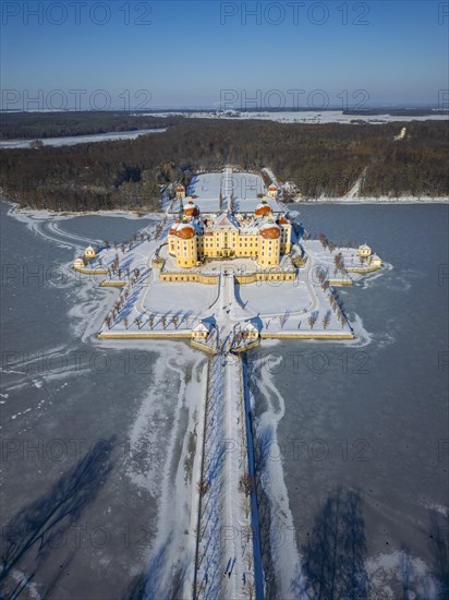 Moritzburg Castle on the castle island surrounded by the frozen castle pond, Moritzburg, Saxony, Germany, Europe