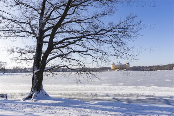 Baroque Moritzburg Hunting Lodge, Moritzburg, Saxony, Germany, Europe