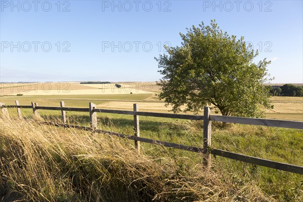 Rolling hills and fields chalk landscape near Beckhampton, Wiltshire, England, UKWiltshire, England, UK