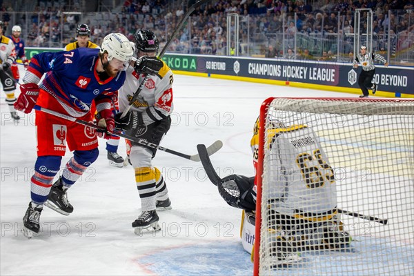 Game scene Adler Mannheim against Rouen Dragons (Champions Hockey League)