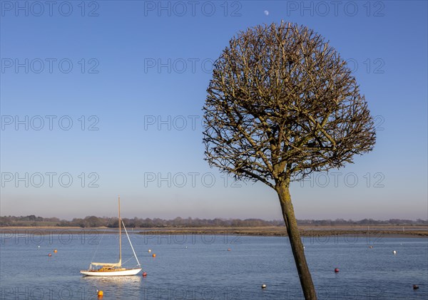 Small sailing yacht moored in winter on River Deben, Waldringfield, Suffolk, England, UK