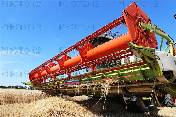 Harvesting grain with a combine harvester in a field near Ludwigshafen