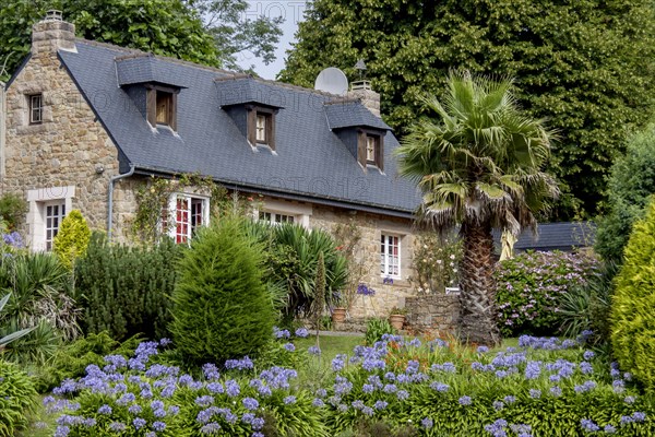 Typical Breton stone house, Brittany, Ile de Brehat, Departement Cotes-d'Armor, Brittany, France, Europe