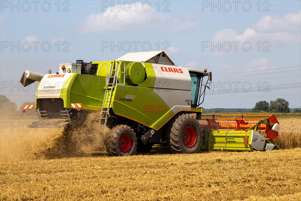 Grain harvest near Hockenheim, Baden-Wuerttemberg