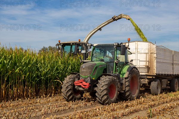 Rhineland-Palatinate, Germany: Maize harvesting (maize chopping) for the Alexanderhof biogas plant in Hochdorf-Assenheim