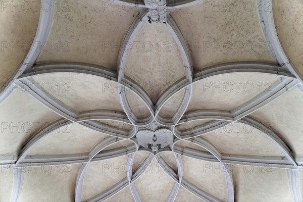 Bebenhausen Cistercian Monastery, Tuebingen, Baden-Wuerttemberg, Germany, Europe