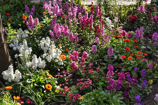 Splendour of flowers in spring, gardens, arabic, islamic, oriental, light and shade, Generalife Gardens, Alhambra, Granada, Spain, Europe