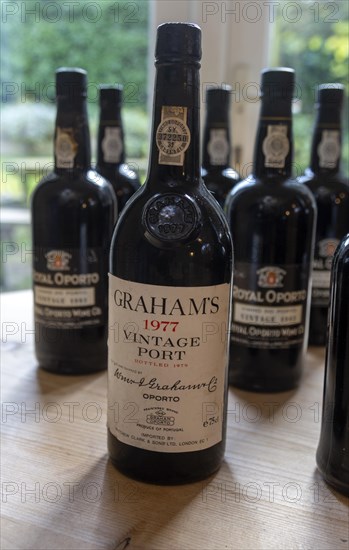 Bottles of vintage port including Graham's 1977 from Oporto, Portugal, Europe