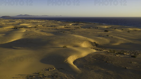 Sand dunes near Corralejo, shifting sand dunes, Fuerteventura, Canary Islands, Spain, Europe