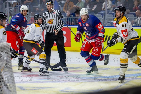 Game scene Adler Mannheim against Rouen Dragons (Champions Hockey League)