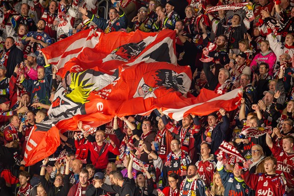 Guest block of Fischtown Pinguins Bremerhaven fans at the away game in Mannheim