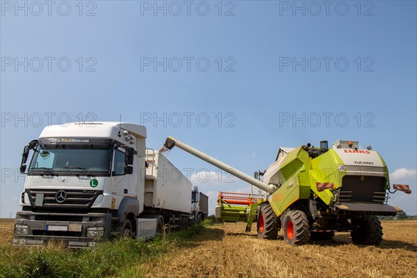 Grain harvest near Hockenheim, Baden-Wuerttemberg