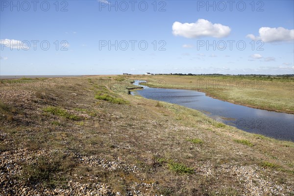 Lagoon in slack area of vegetated shingle beach ecosystem, Shingle Street, Suffolk, England, UK